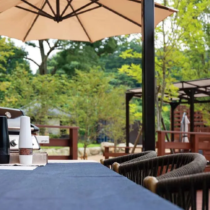 五感ランチビュッフェの魅力：癒される